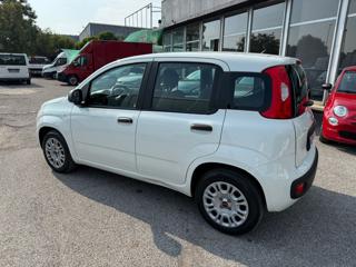 FIAT Panda usata, con Airbag Passeggero