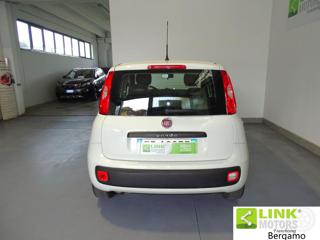 FIAT Panda usata, con Airbag testa