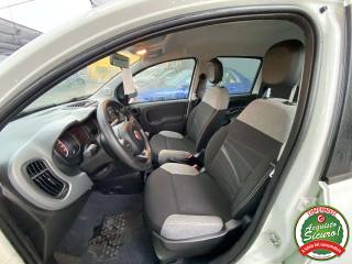 FIAT Panda usata, con Fendinebbia