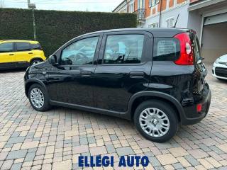 FIAT Panda usata, con Chiusura centralizzata