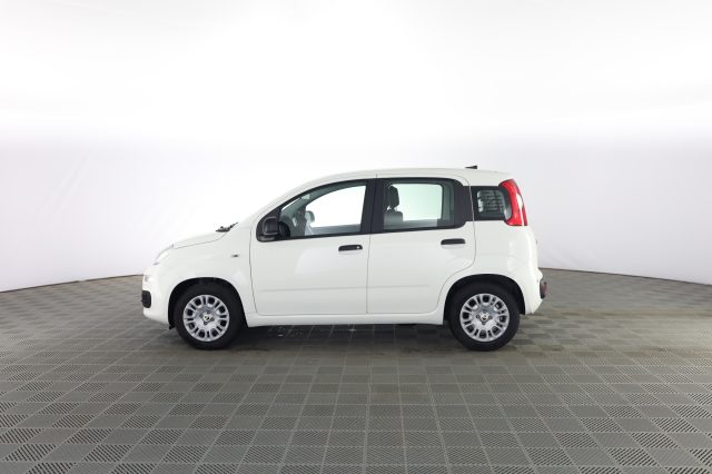 FIAT Panda usata 6