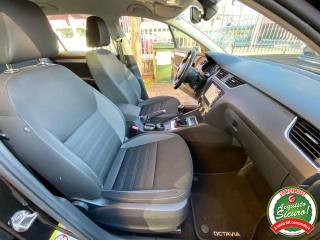 SKODA Octavia usata, con Servosterzo