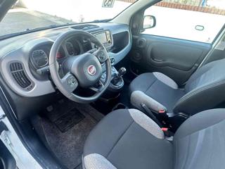 FIAT Panda usata, con Climatizzatore