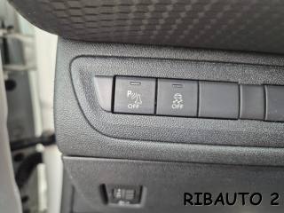 PEUGEOT 2008 usata, con Climatizzatore