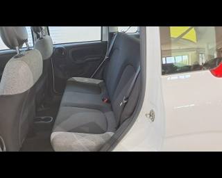 FIAT New Panda usata 14