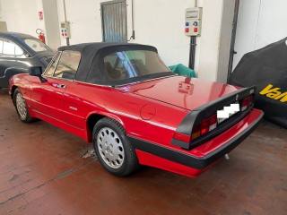 ALFA ROMEO Spider usata 5