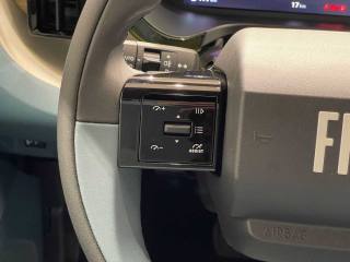 FIAT Grande Panda usata, con Frenata d