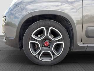 FIAT Panda usata 14