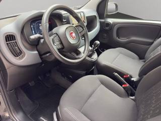 FIAT Panda usata, con Immobilizzatore elettronico