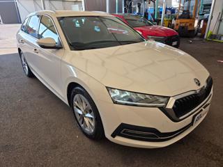 SKODA Octavia usata, con Airbag
