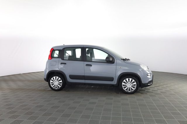 FIAT Panda usata 2