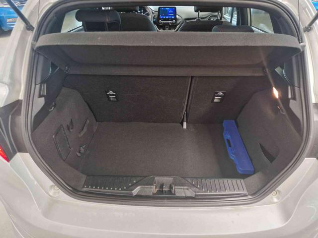 FORD Fiesta usata, con Fendinebbia