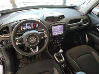 JEEP Renegade usata, con Boardcomputer