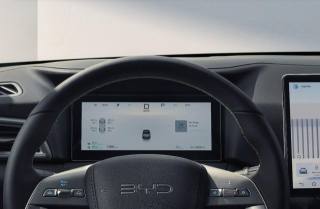BYD Atto 2 usata, con Servosterzo