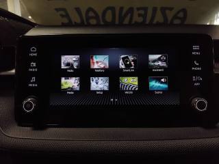 SKODA Fabia usata 25