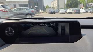 LEXUS UX 250h usata, con Luci diurne LED