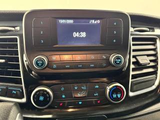 FORD Transit Custom usata, con Leve al volante