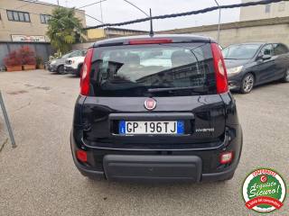 FIAT Panda usata, con Antifurto