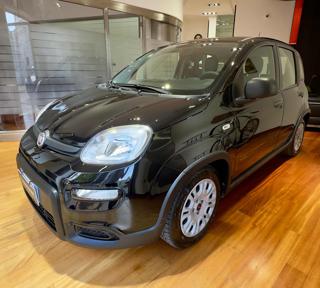 FIAT Panda usata, con Airbag Passeggero