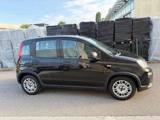 FIAT Panda usata, con Antifurto