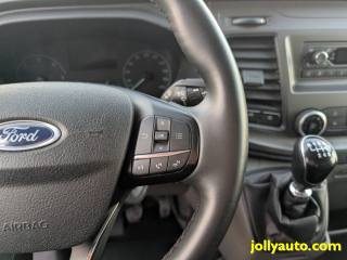 FORD Transit usata 19