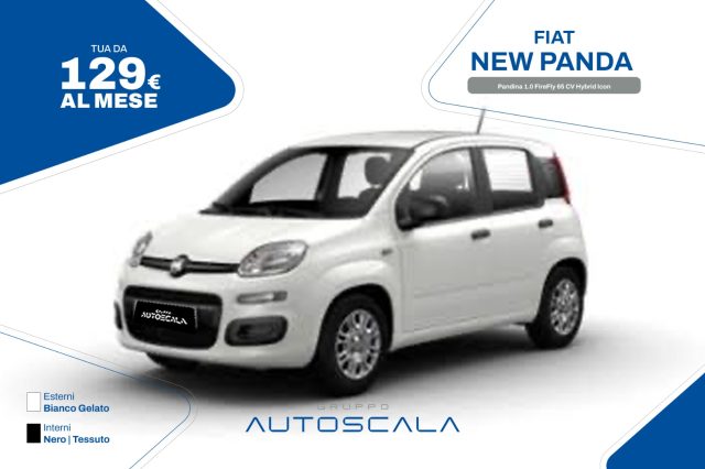FIAT New Panda usata, con ABS