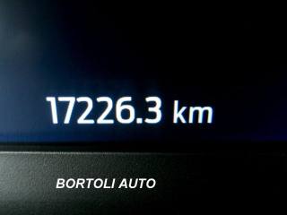 FORD Puma usata, con Alzacristalli elettrici