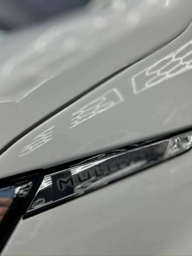 VOLKSWAGEN Multivan usata, con Streaming musicale integrato
