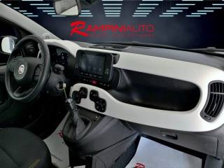 FIAT Panda usata 17