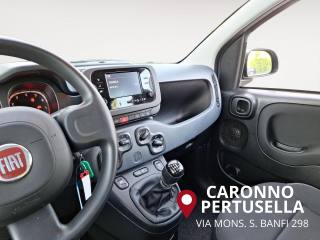 FIAT Panda usata, con Immobilizzatore elettronico
