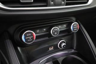 ALFA ROMEO Stelvio usata 11