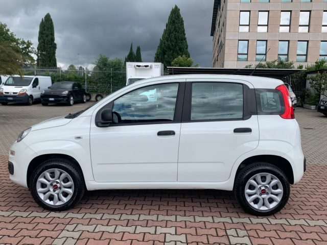 FIAT New Panda usata, con ABS