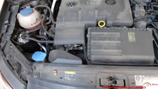 VOLKSWAGEN Polo usata 66