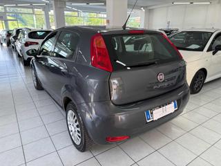 FIAT Punto usata, con Airbag Passeggero
