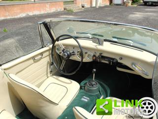 AUSTIN Healey usata 24