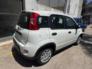 FIAT Panda usata, con Airbag Passeggero