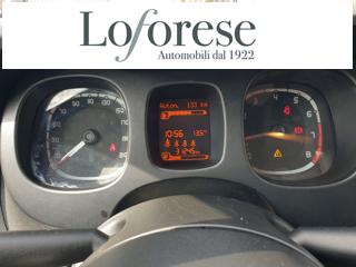 FIAT Panda Cross usata, con Fendinebbia