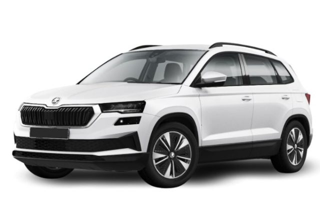 SKODA Kamiq usata, con ABS