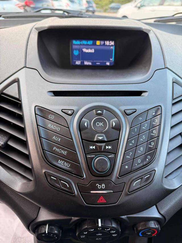 FORD EcoSport usata, con Cronologia tagliandi