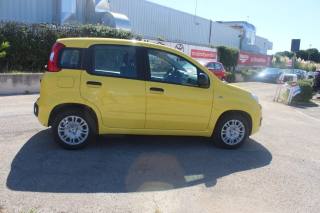 FIAT Panda usata 19