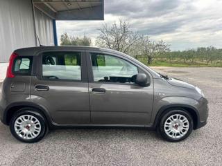 FIAT Panda usata, con Antifurto