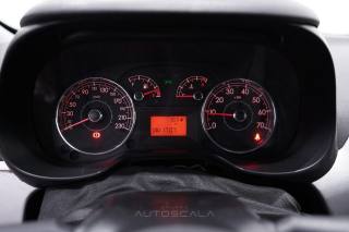 FIAT Punto usata 13