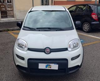 FIAT Panda usata, con Immobilizzatore elettronico