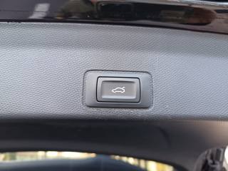 CUPRA Terramar usata, con Fendinebbia