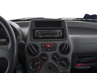 FIAT Panda usata 14