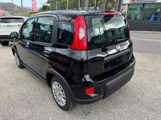FIAT Panda usata, con Immobilizzatore elettronico