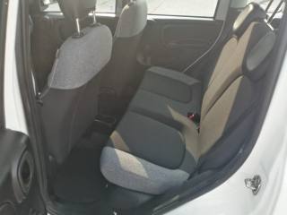 FIAT Panda usata, con Servosterzo