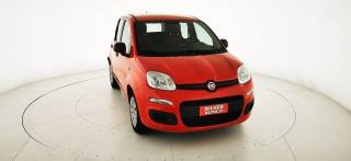 FIAT Panda usata 23