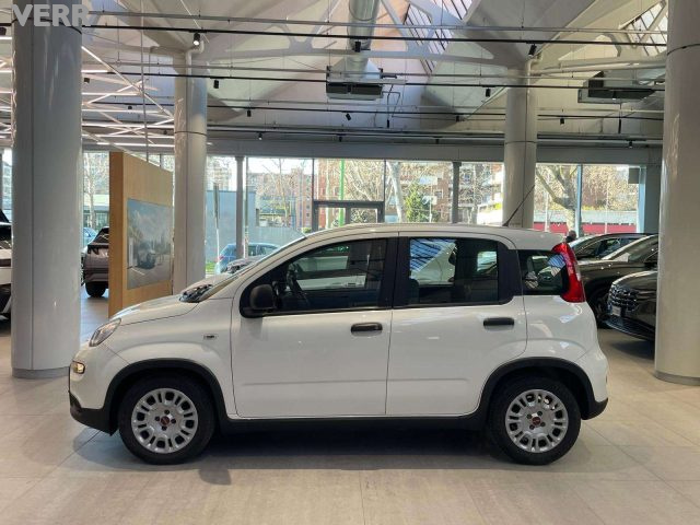FIAT Panda usata, con Climatizzatore