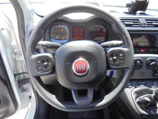FIAT Panda usata 30